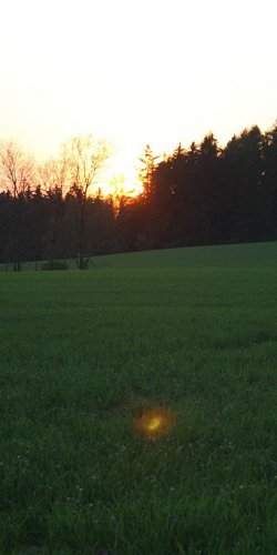 2011 Svojek